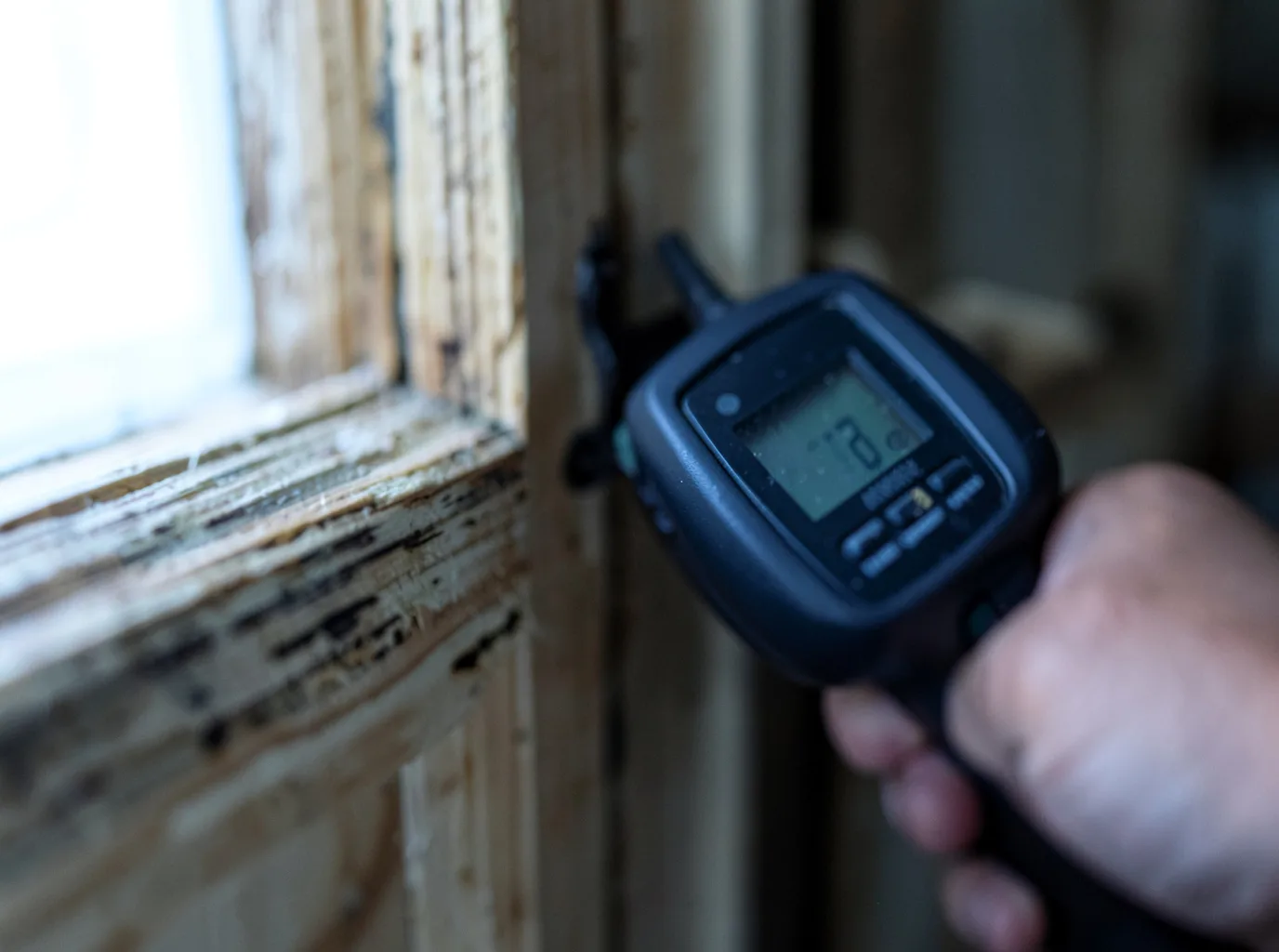 Moisture Inspection And Documentation in Utopia, TX